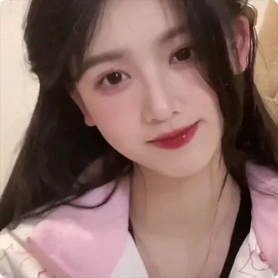鬣狗之城